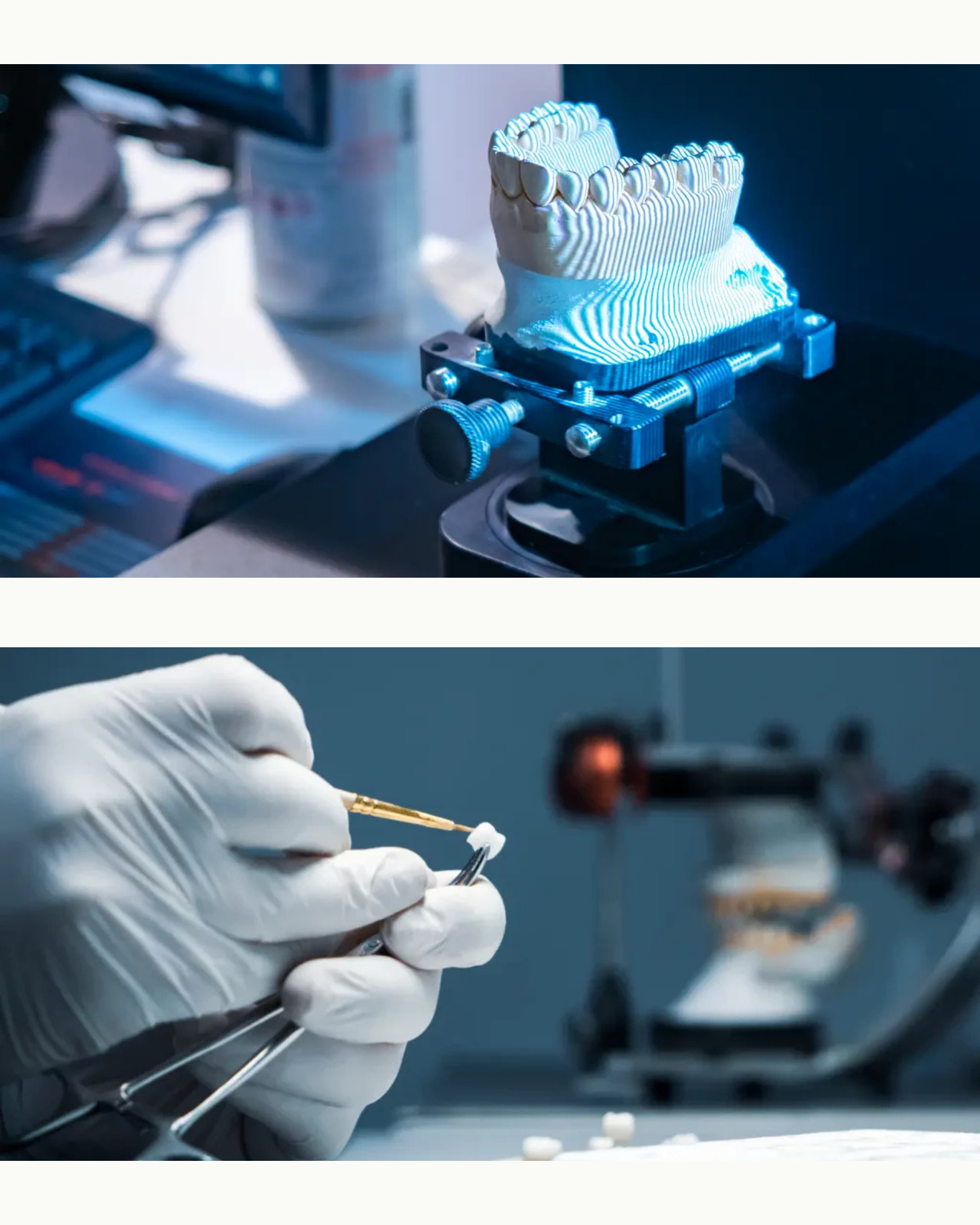 Organizzazione viaggio